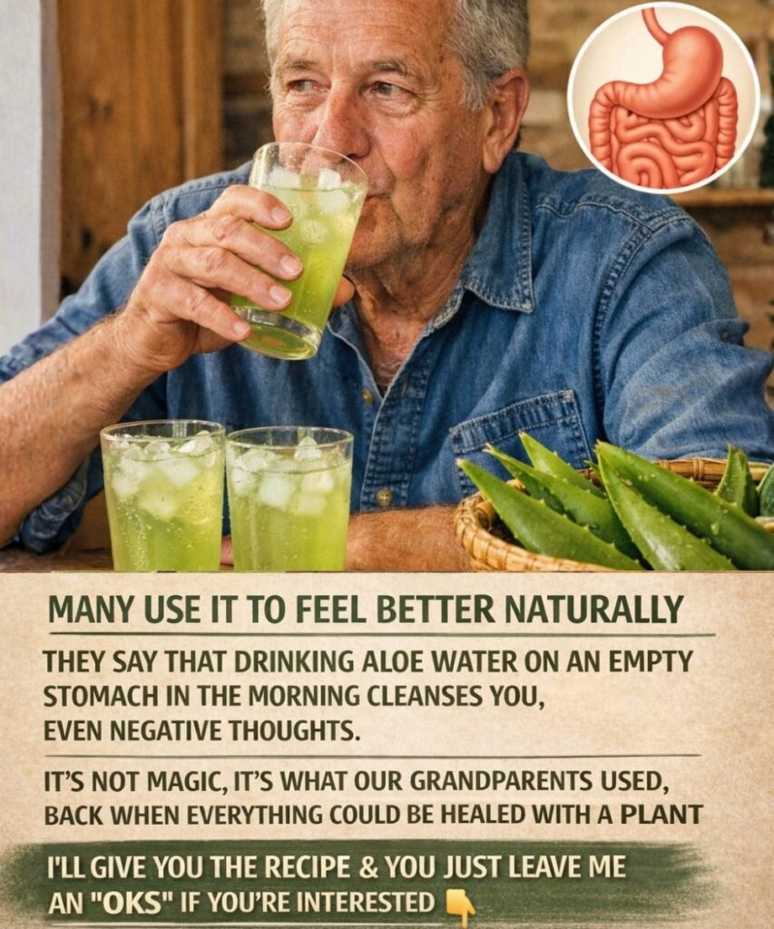 Aloe Vera Benefits Explained: What Science Really Says About This Popular Plant