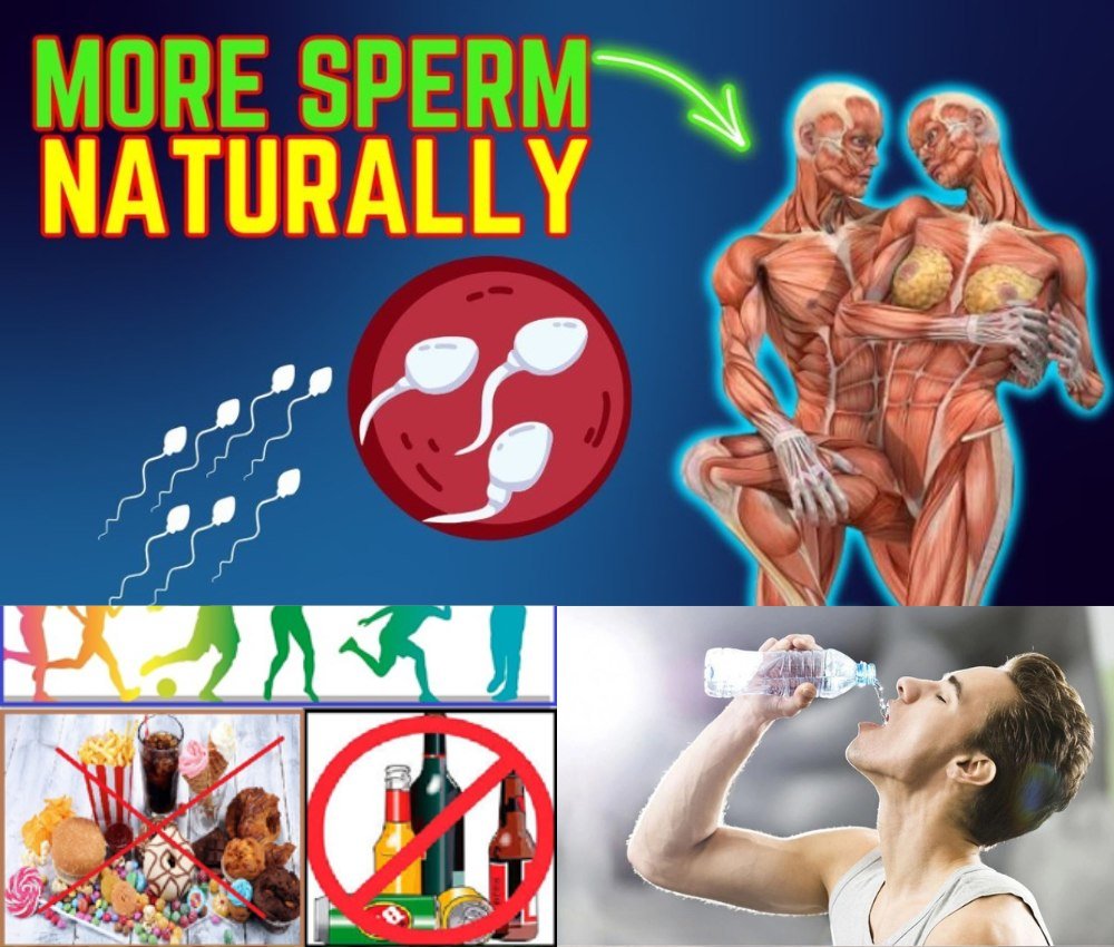 🌿 Six Natural Foods That Support Sperm Health and Reproductive Wellness