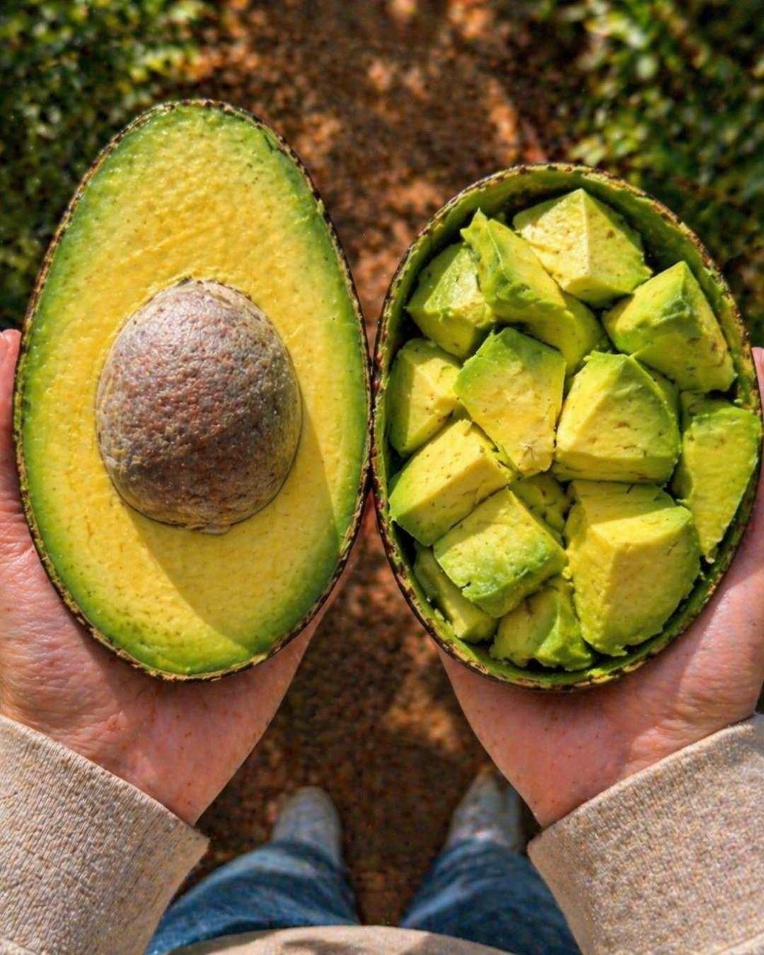 The Power of Avocado: What This Superfruit Can Do for Your Body