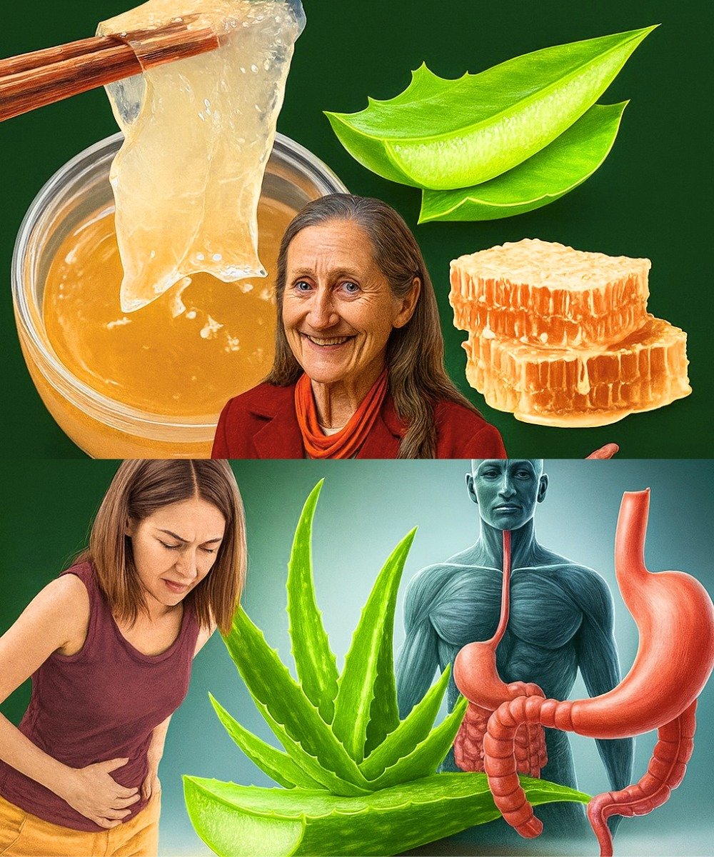 26 Gentle Reasons to Add Aloe Vera Juice to Your Daily Routine