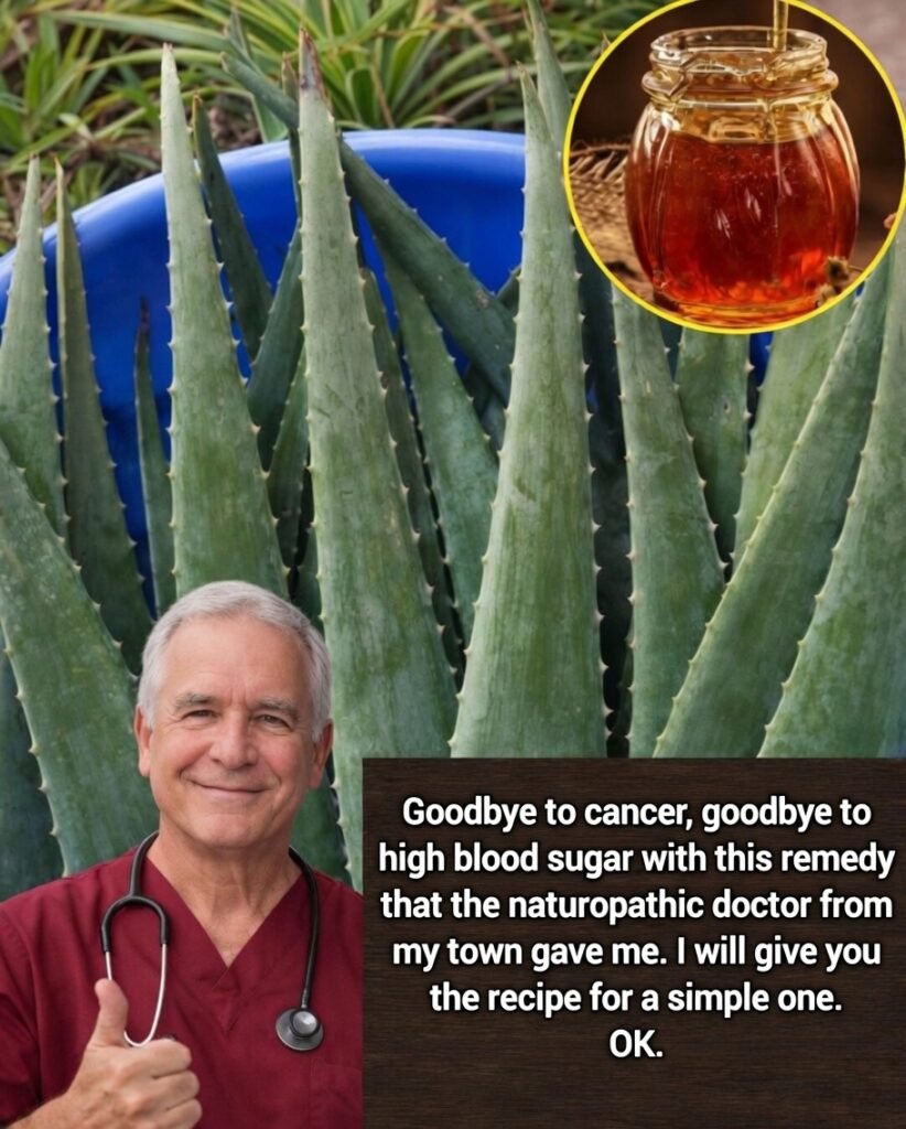 🍯🌿 Aloe Vera with Honey: A Natural Blend Worth Understanding (Before You Try It)