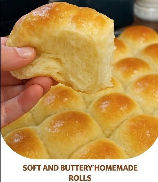 Diabetic Soft & Buttery Homemade Rolls