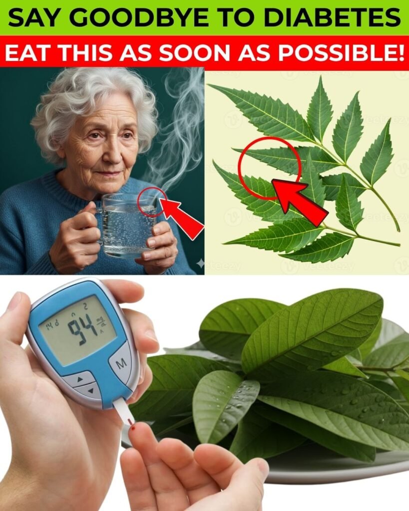 SENIORS: This 1 Leaf DESTROYS Diabetes & Melts Belly Fat (Doctors HATE It!) | Barbara O’Neill