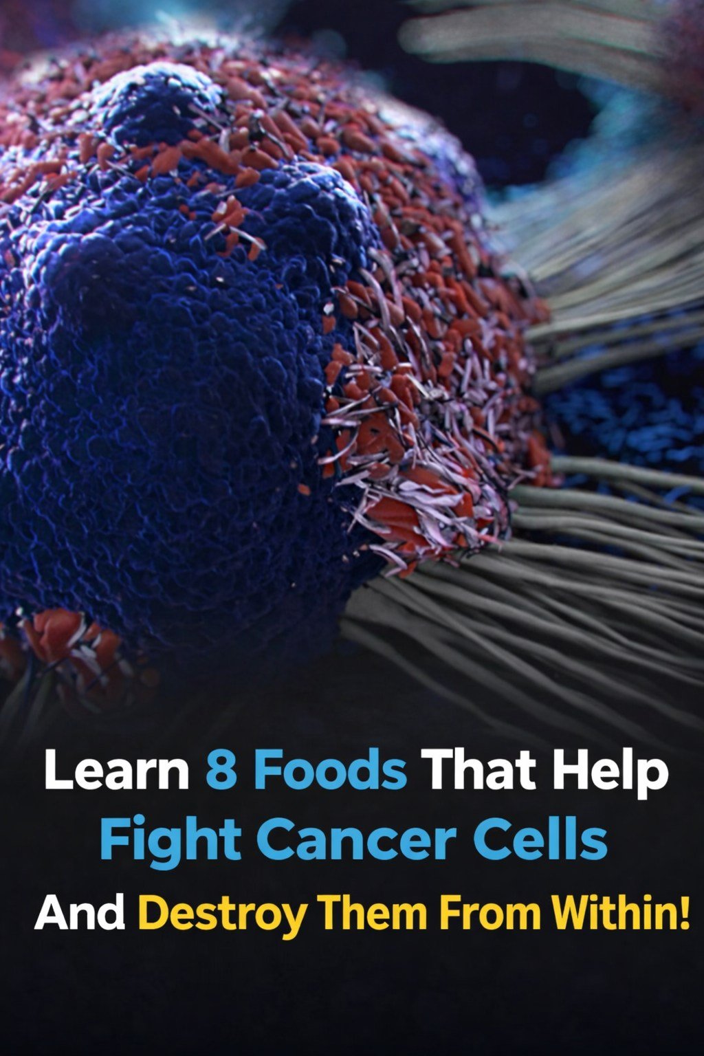 8 of the Best Anti-Cancer Foods. It’s Time to Start Adding them to Your Diet