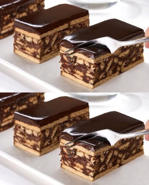 No-Bake Chocolate Biscuit Cake