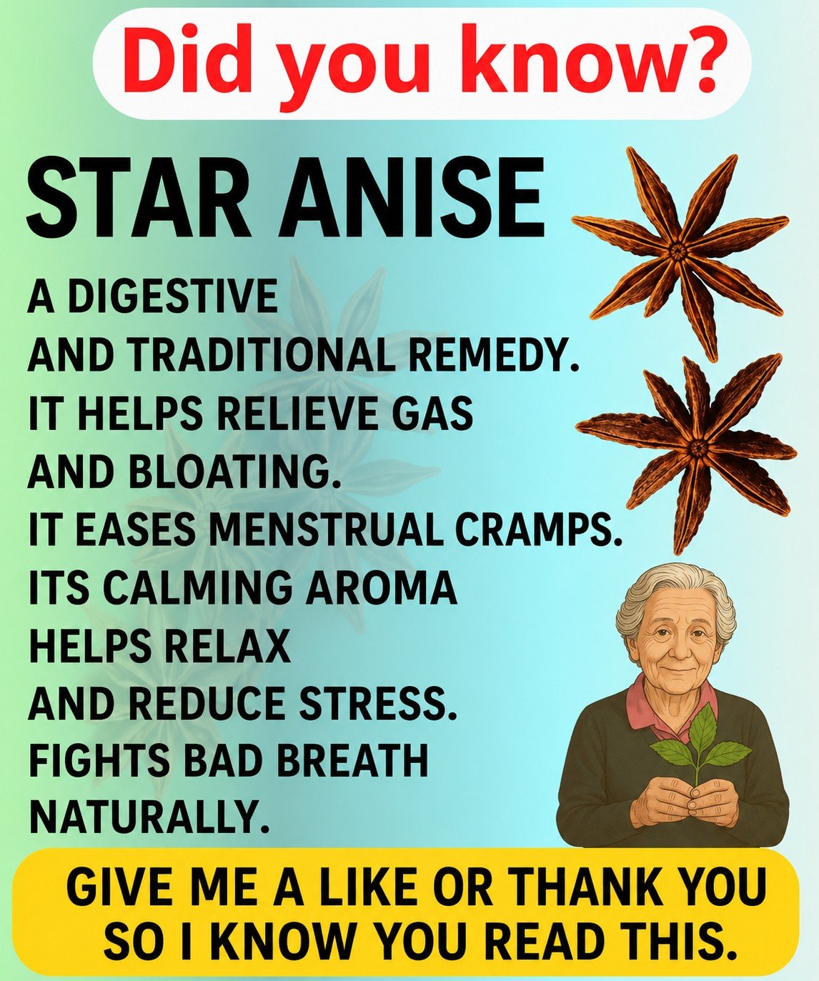 The Healing Power of Anise: A Soothing Infusion for Digestion and Wellness