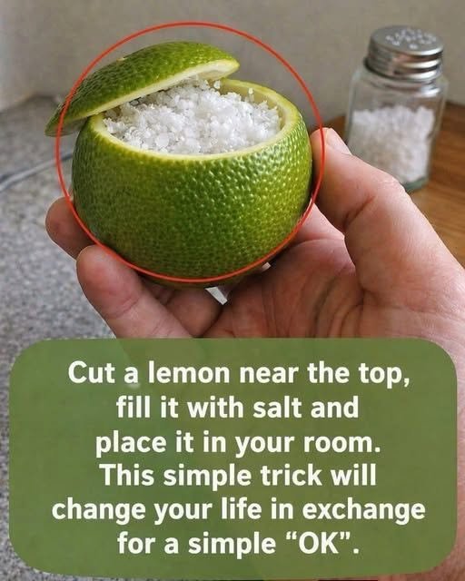 Lemon and Salt Room Freshener
