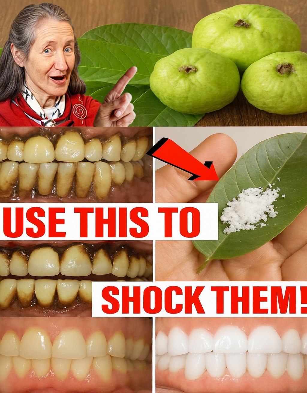 TRADITIONAL ORAL HYGIENE: Guava Leaves—A Natural Aid for Teeth and Gums