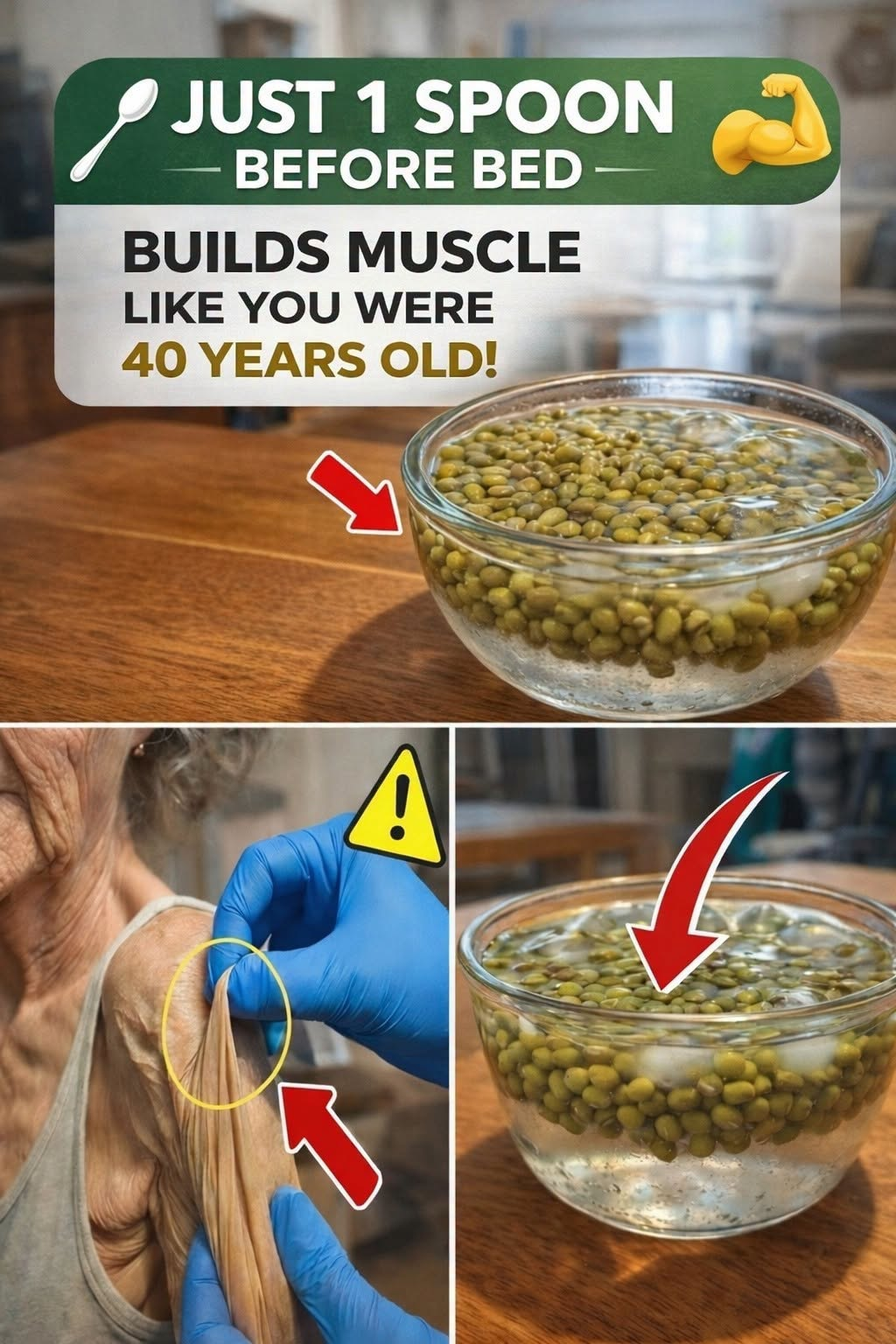 Complete Guide to Fats and Kidney Health: Understanding Creatinine and Supporting Your Well-Being