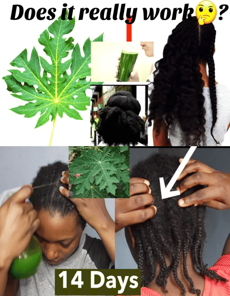 Papaya Leaves: The Secret Hair Growth Elixir You’ll Wish You Tried Sooner!