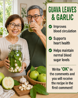 Guava Leaves and Garlic: A Traditional Combination for Daily Circulation and Energy Support