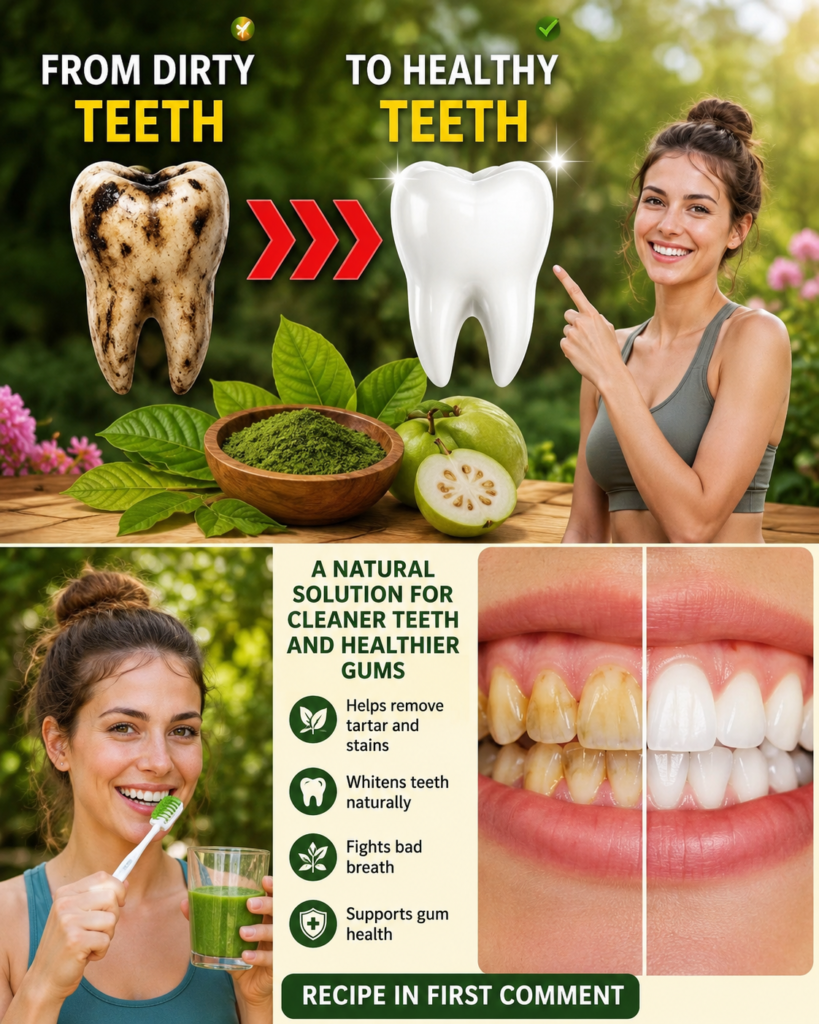 3 Simple Ways to Use Guava Leaves to Support Better Oral Hygiene and a Healthier Smile 🌿🦷