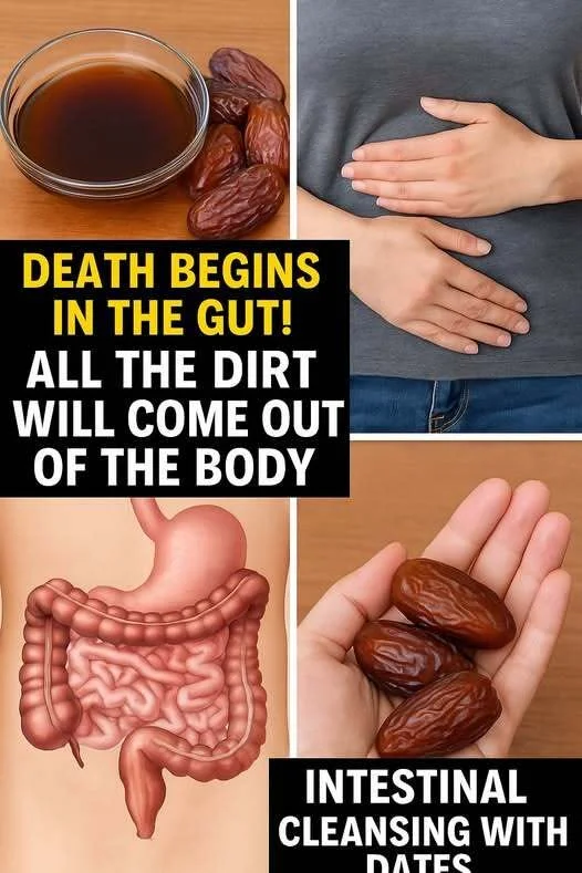 Dates: A Naturally Fiber-Rich Fruit That Supports Digestive Health