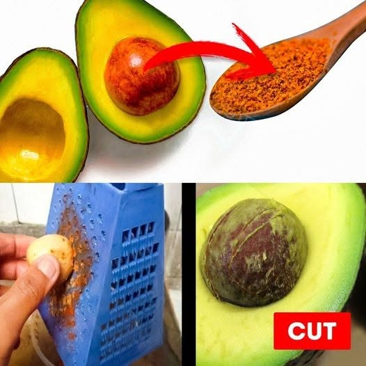 Don’t Throw Away the Avocado Seed Ever Again – Here’s Why!