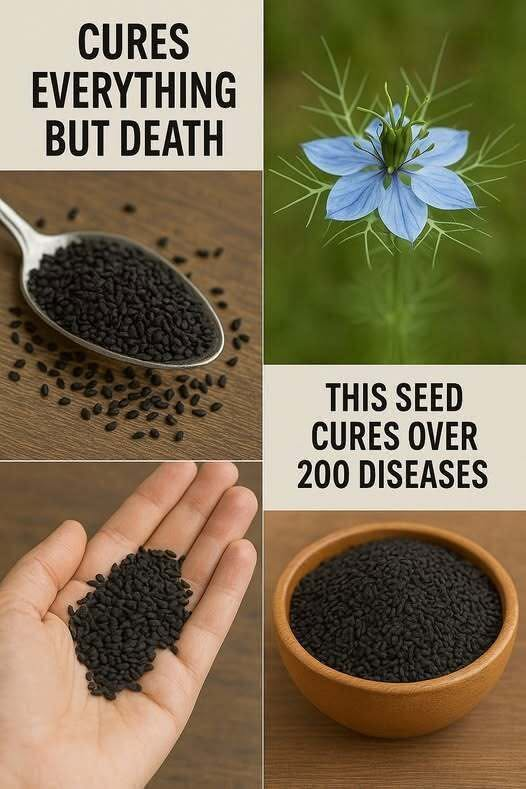 Unveiling the Magic of Black Cumin