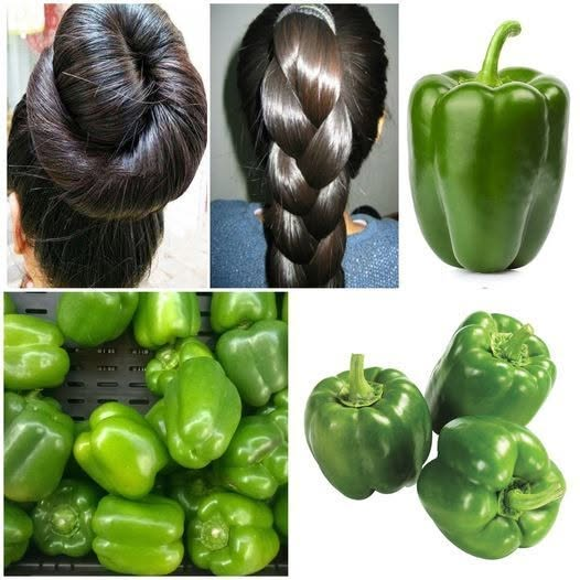 The Indian Secret 🌿 Gray Hair Will Be Just a Memory — Thanks to Green Pepper!