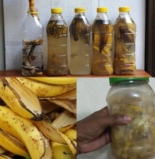 Place Banana Peels in a Bottle – And Watch What Happens!