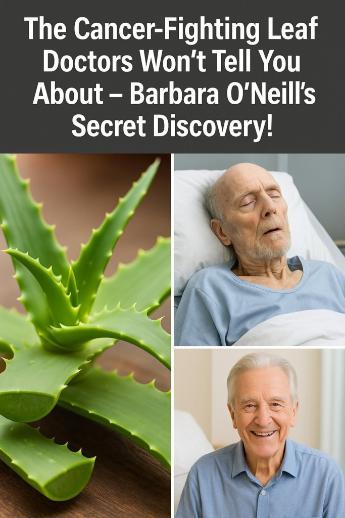 A Natural Path to Healing: Barbara O’Neill’s Holistic Approach to Cancer Support