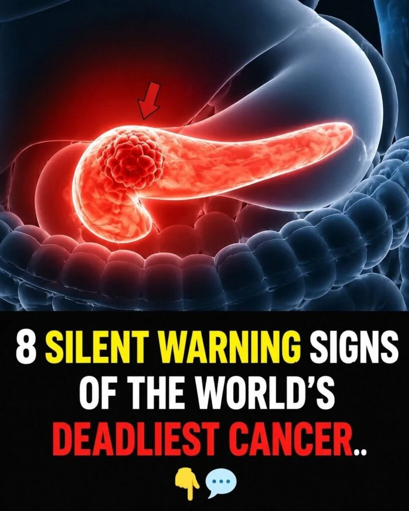 8 Possible Warning Signs of Pancreatic Cancer: Symptoms You Should Discuss With a Doctor