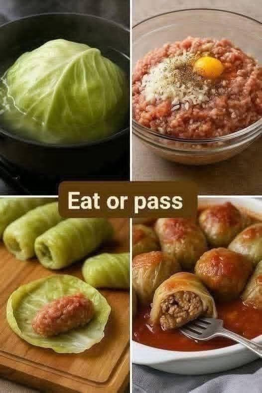 Cabbage rolls