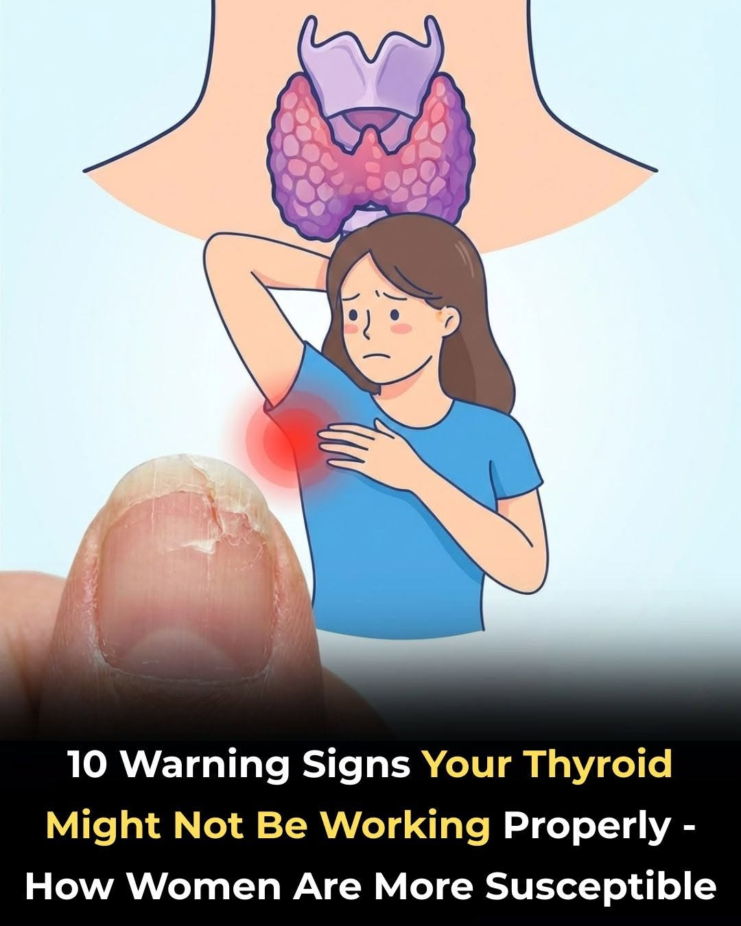 Thyroid Gland: How to Balance Its Hormones