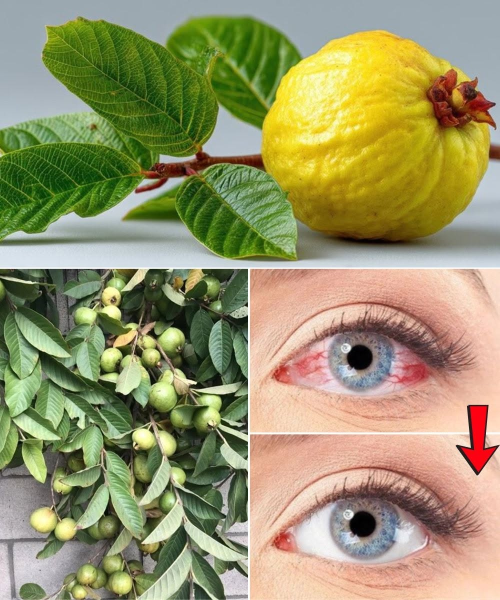 How to Use Guava to Support Eye Health: A Natural Approach