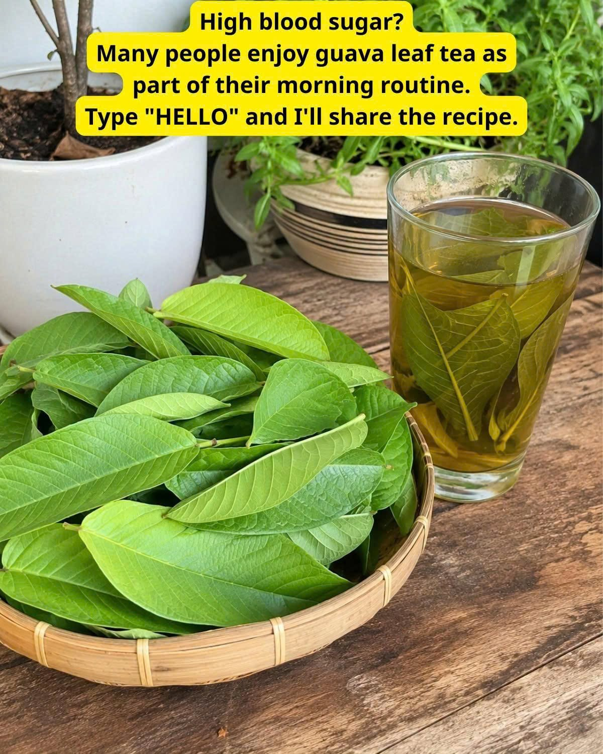 Guava Leaf Tea Hits Blood Sugar Hard Where It Starts