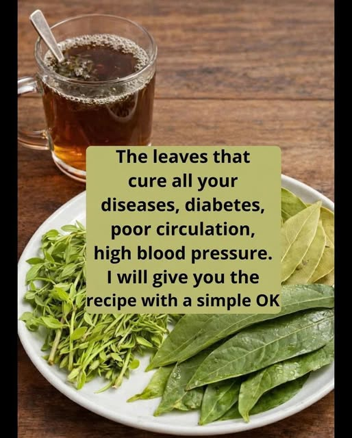 Medicinal Leaves: Health Benefits, Traditional Uses, and Safe Ways to Enjoy Herbal Remedies
