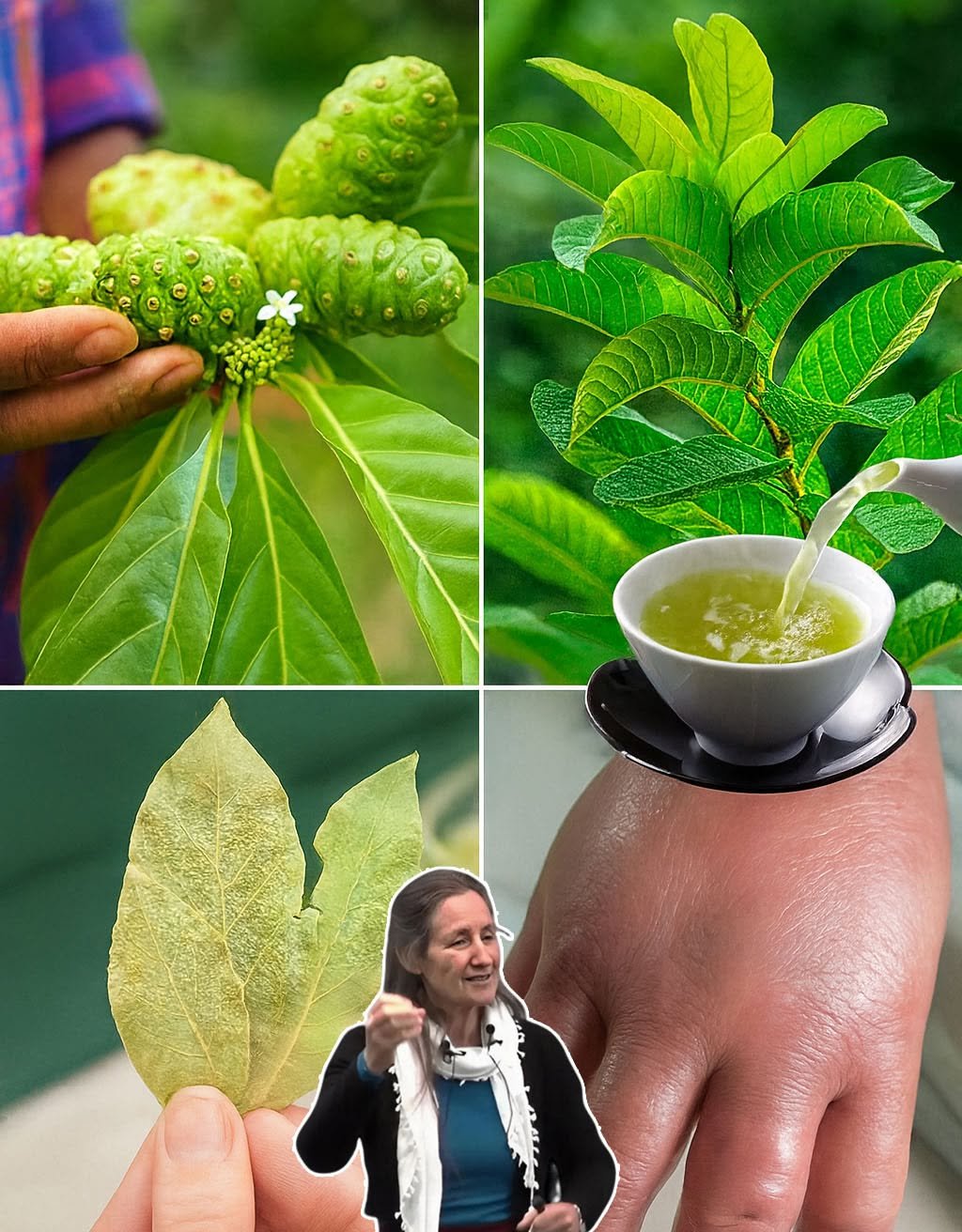 One Sip Before Bed: The Noni + Guava Leaf + Bay Leaf + Turmeric Tonic That’s Draining Swollen Feet, Steadying Blood Sugar, and Waking Up Legs Like You’re 20 Years Younger
