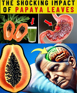 🍃 Papaya Leaves: The Hidden Superfood You Might Be Throwing Away 🌿