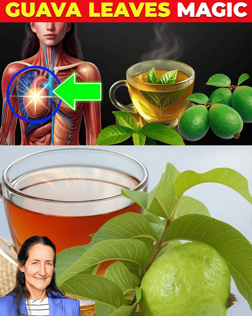 9 Diseases Cured with Guava Leaf Tea (How to Make It)