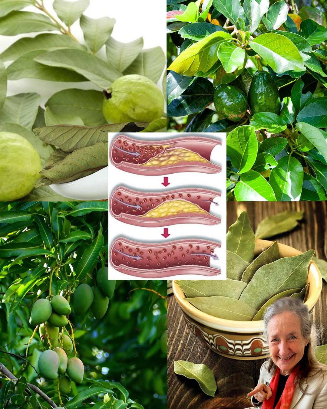 The Five Leaves That Eliminate Diabetes, Cancer, Fatty Liver, Poor Circulation, and High Blood Pressure – No Pills Needed