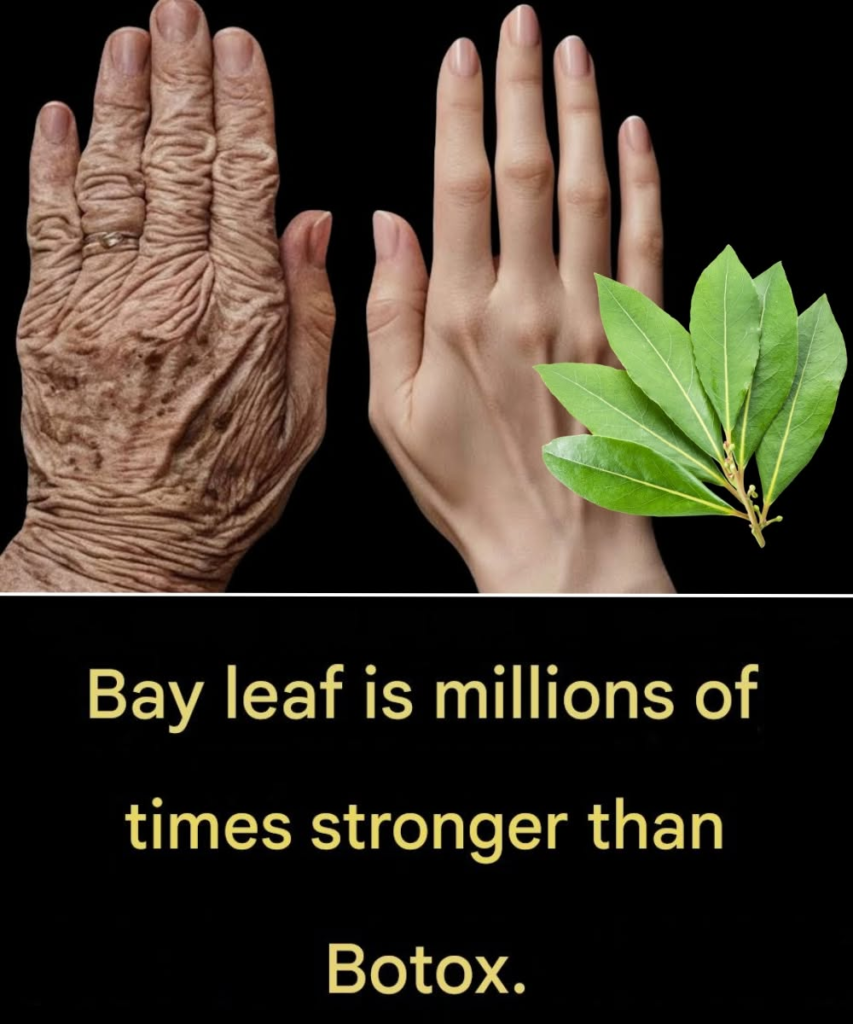 Bay Leaf: Nature’s Secret for Youthful, Smooth and Radiant Skin!