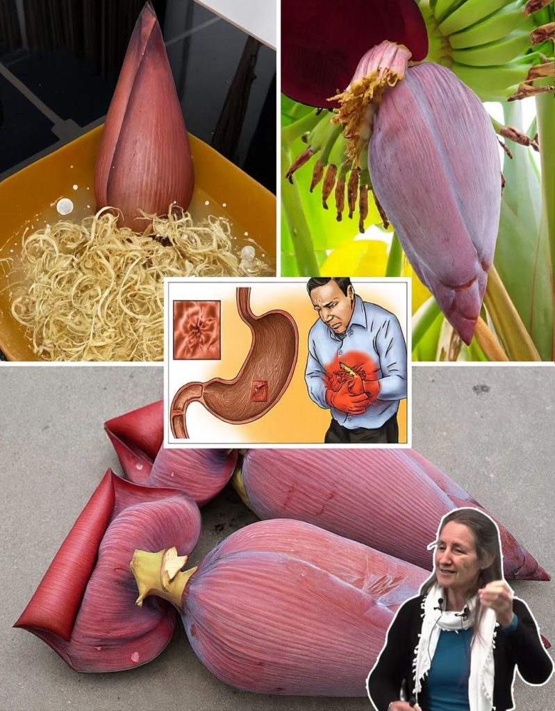 Banana Blossom: The Underrated Superfood for Modern Health