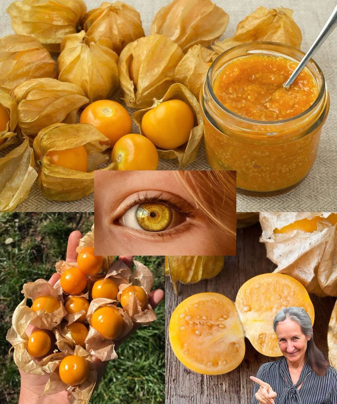 Goldenberries (Physalis peruviana): A Nutrient-Rich Superfruit for Better Health, Vision, and More