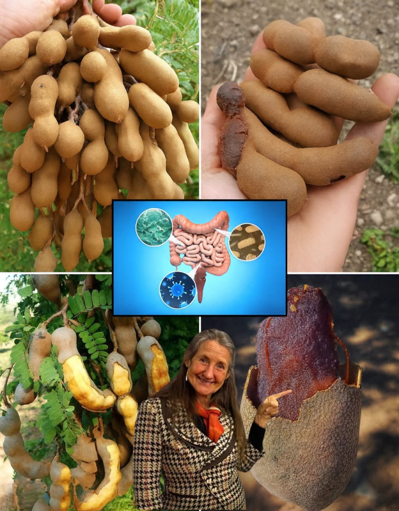 18 Amazing Health Benefits of Eating Tamarind You’ll Wish You Knew Sooner