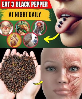 What Happens When You Chew Black Pepper Before Bed? 8+ Surprising Benefits