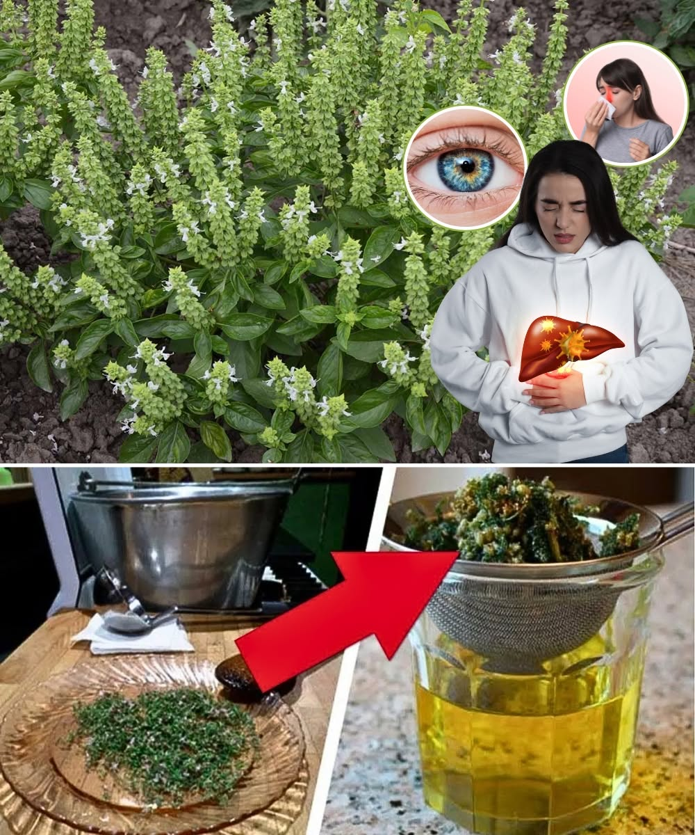 Don’t Throw Away Basil Flowers: 18 Brilliant Ways to Use Them