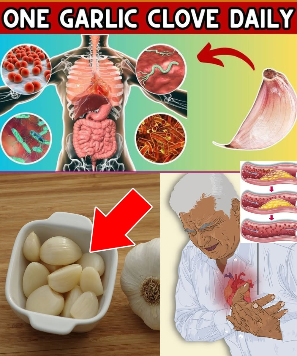This Is What Happens When You Consume 1 Clove of Garlic Every Night