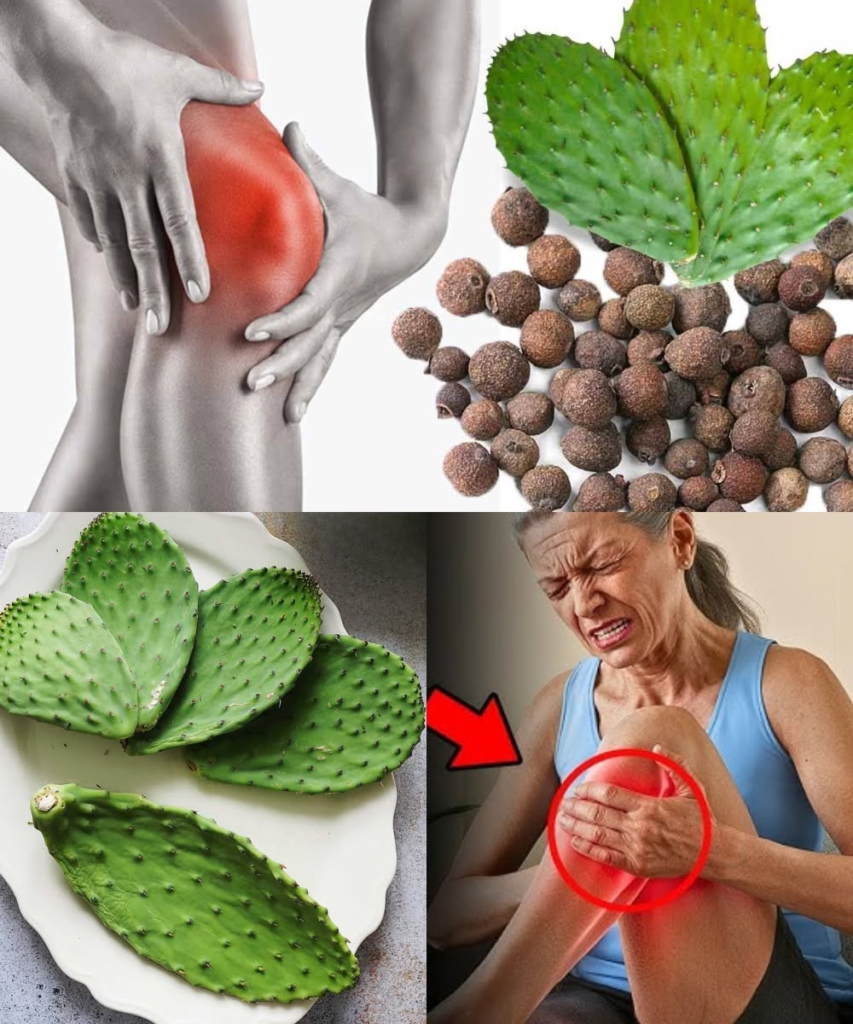 Anti-Inflammatory Power: Relieve Joint Swelling and Bone Pain with Prickly Pear (Nopal) Water