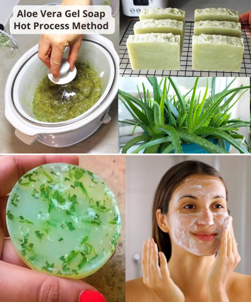 The Miracles of Aloe Vera: How to Make 100% Natural Aloe Vera Gel and Soap for Skin & Hair