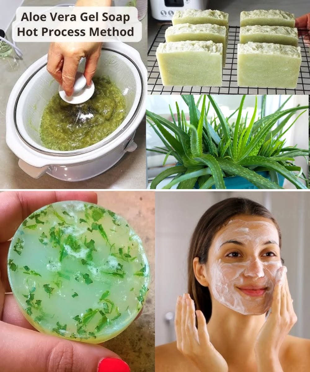 The Miracles of Aloe Vera: How to Make 100% Natural Aloe Vera Gel and Soap for Skin & Hair