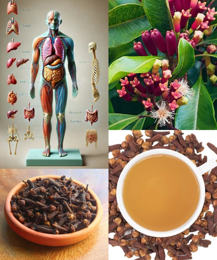 Can Clove Water Unlock a Health Revolution in Days?