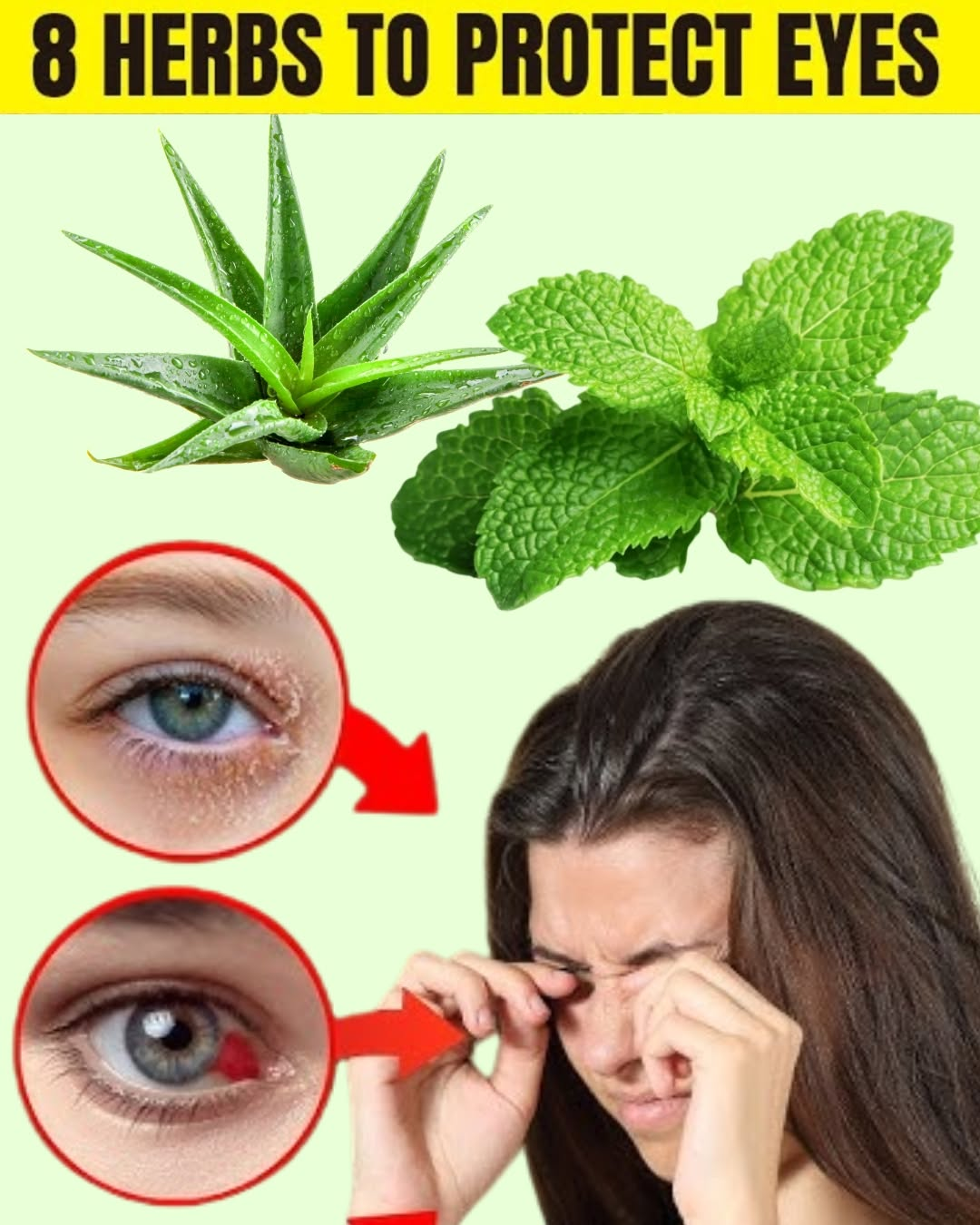8 Powerful Herbs That Protect and Repair Your Vision Naturally