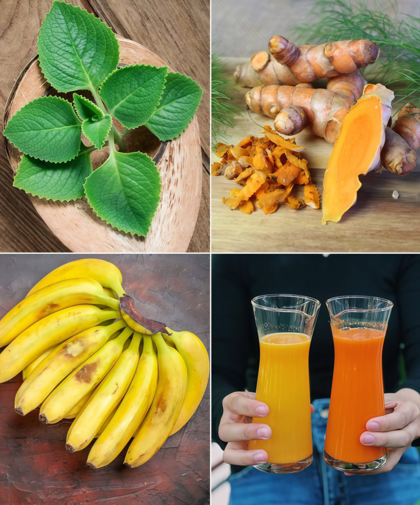 At 60, I Healed Cancer, High Blood Pressure, Diabetes, and Poor Circulation – Thanks to This Natural Drink