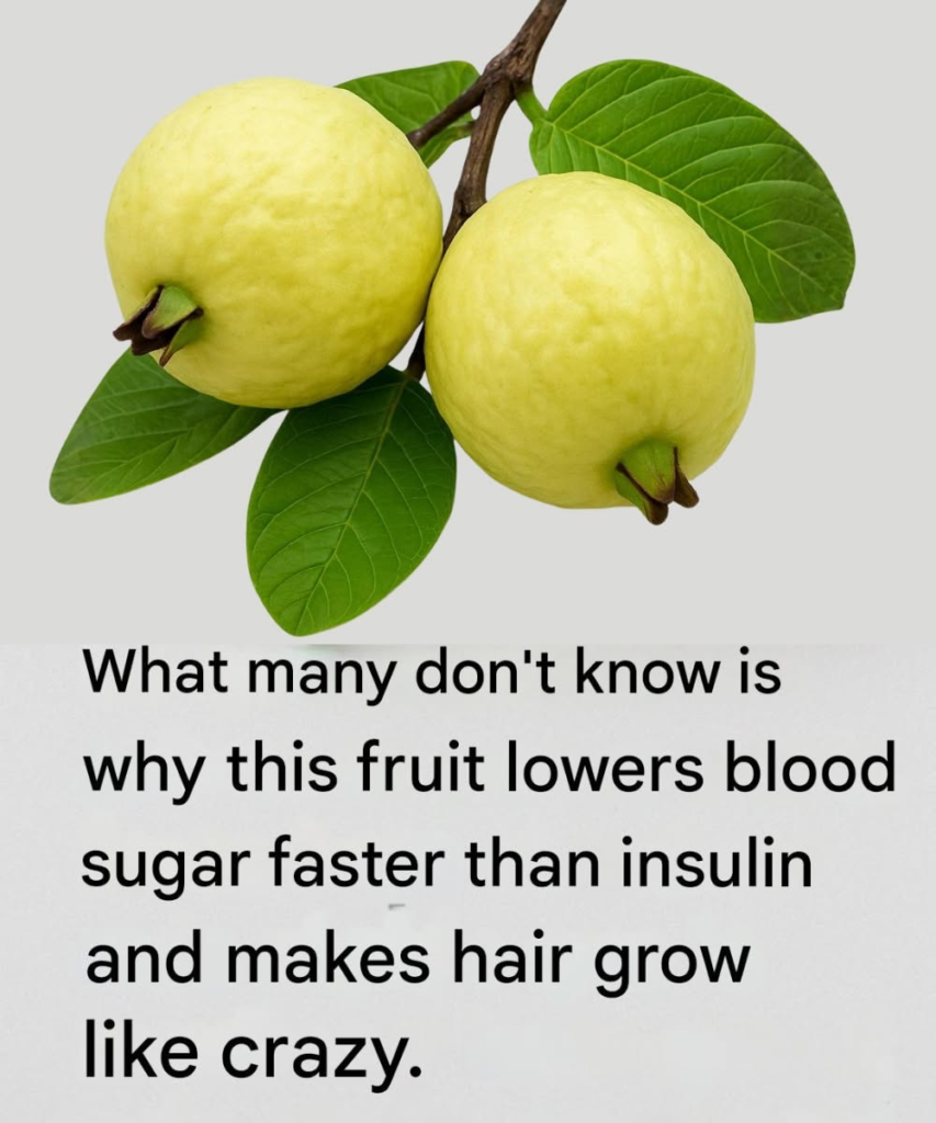 Guava and Its Leaves: The Natural Secret for Blood Sugar and Hair Health
