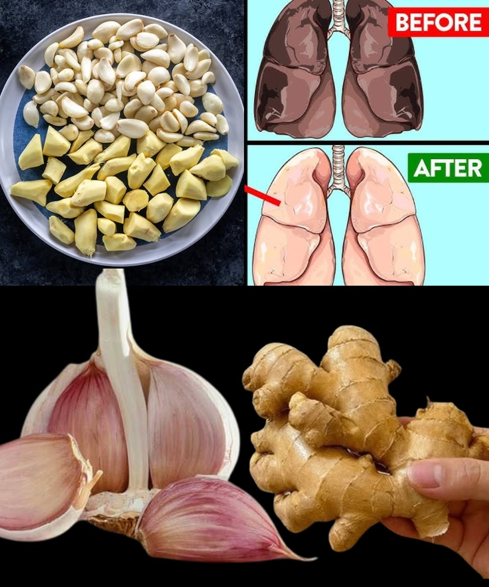 Garlic & Ginger: A Timeless Duo for Everyday Wellness