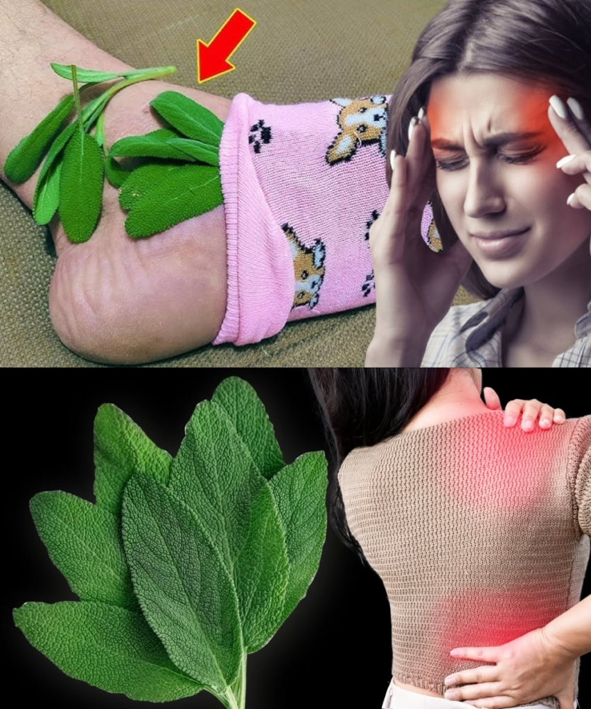 Why People Are Putting Sage in Their Socks (And You Might Want to Try It Too)