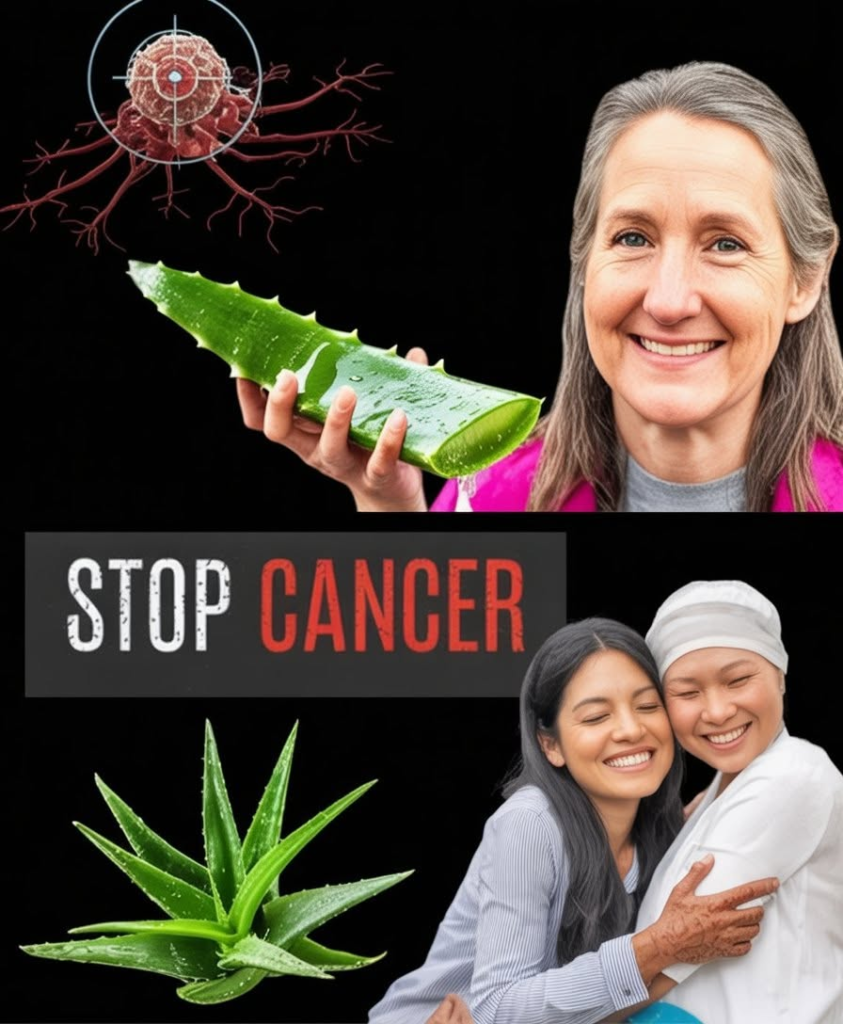 A Natural Path to Healing: Barbara O’Neill’s Holistic Approach to Cancer Support