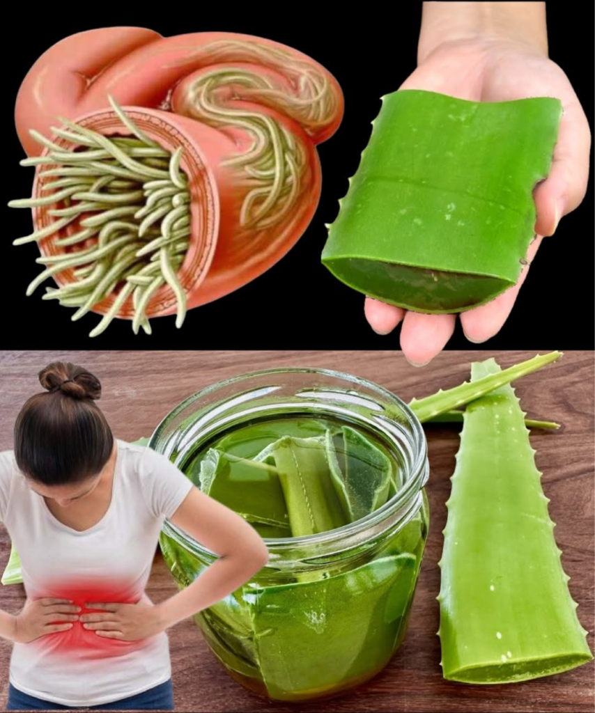 Aloe Vera, Lemon & Clove: A Gentle Home Remedy for Inner Balance